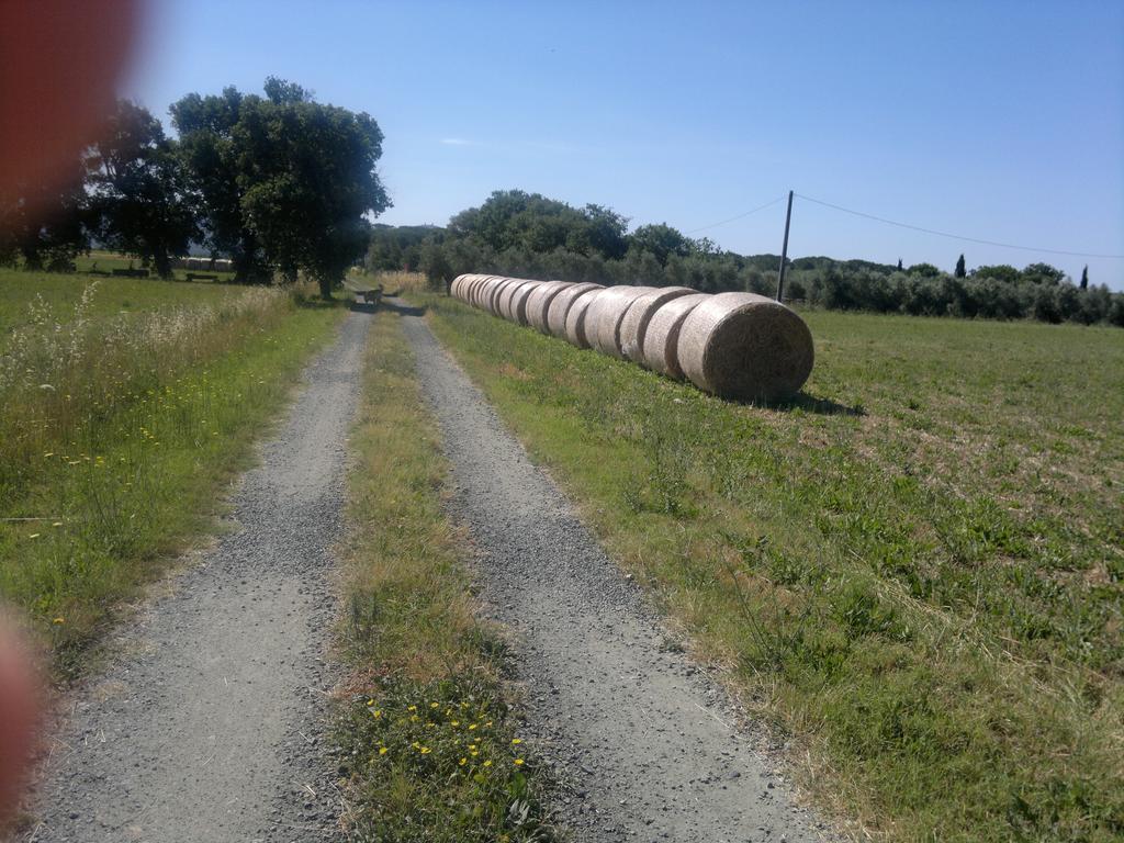 Agriturismo Il Selvello Le Versegge Exterior foto