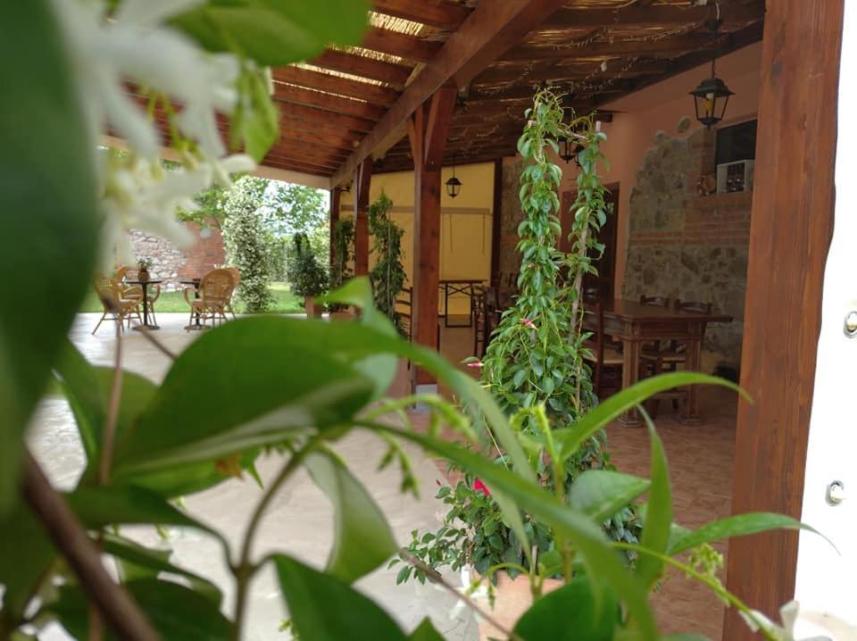 Agriturismo Il Selvello Le Versegge Exterior foto