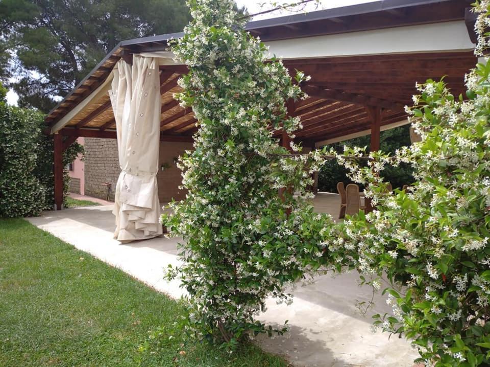 Agriturismo Il Selvello Le Versegge Exterior foto